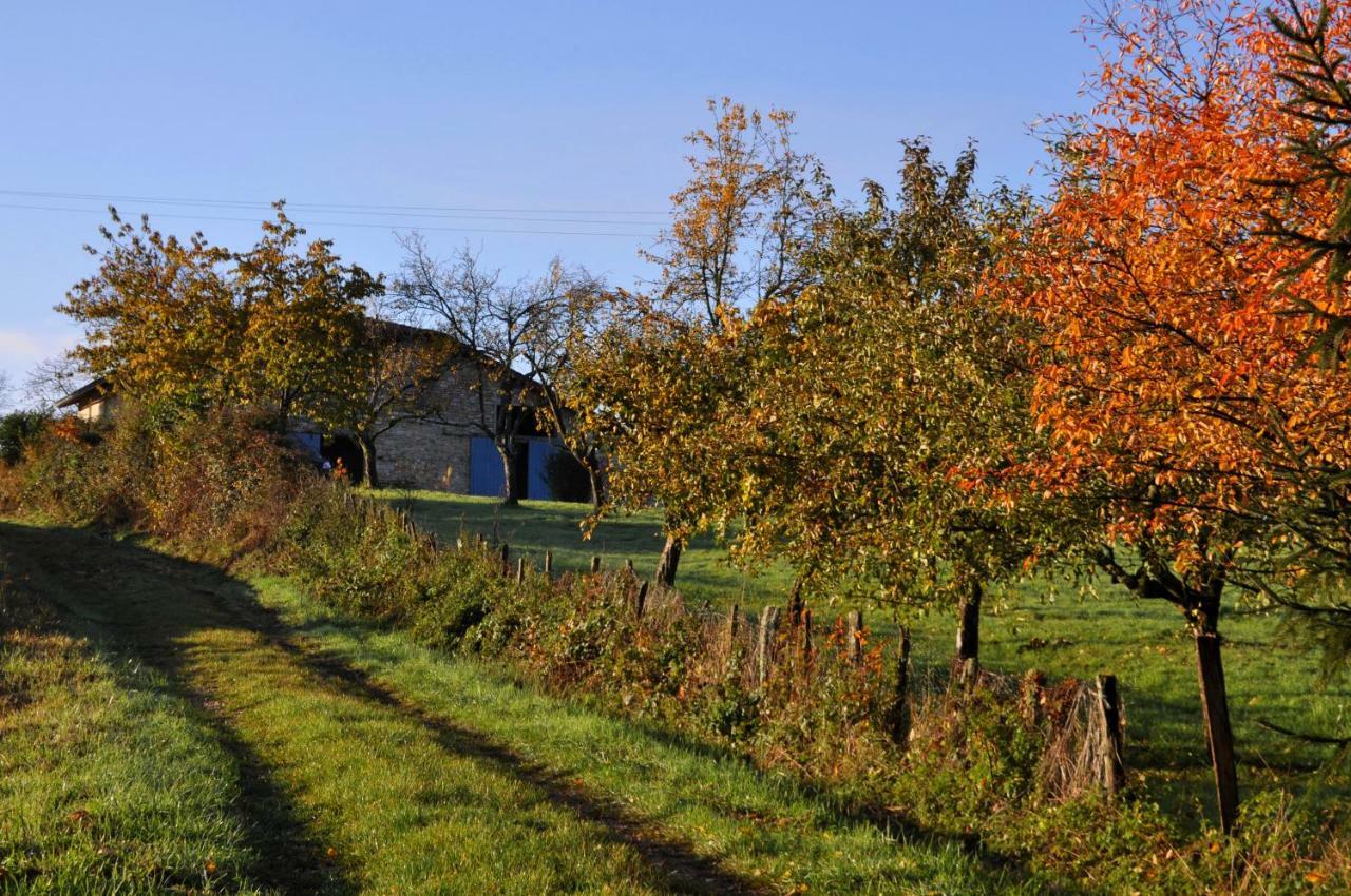 Bed and Breakfast Terres De La Grange Cuisiat Экстерьер фото
